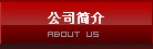 公司簡(jiǎn)介
